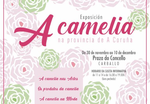 Chega a Carballo a exposición itinerante “A camelia na provincia da Coruña” para desvelar todos os segredos da flor